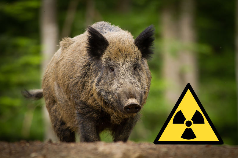 Jabal radiactivo gizmodo