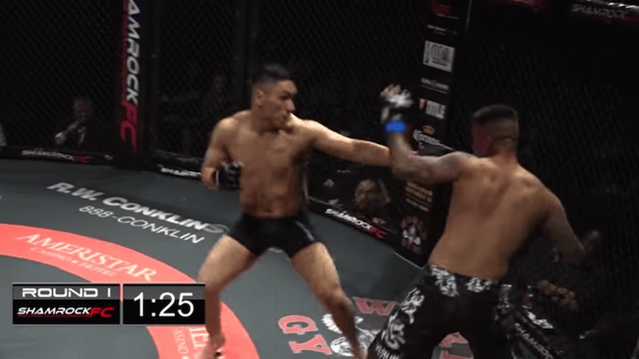 Video doble nocaut en pelea de artes marciales mixtas