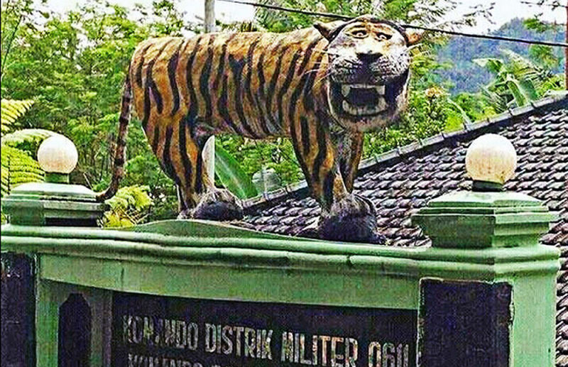 Tigre feo