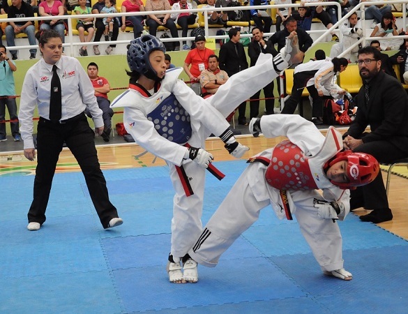 Tkd archivo 2