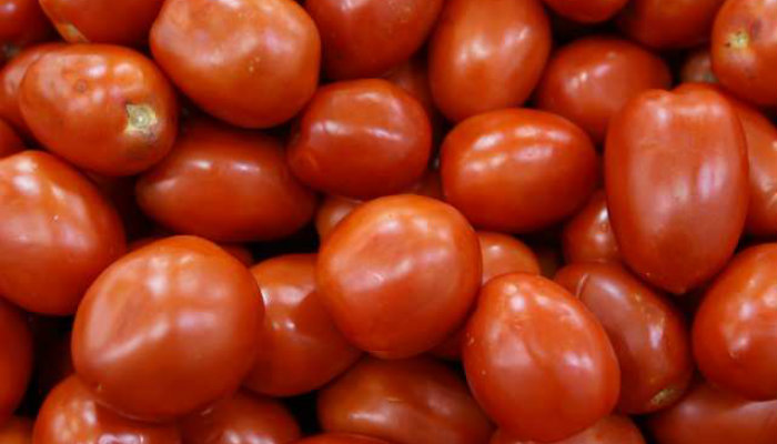 Cienti ficos del ipn desarrollaron biopla stico con ca scara de tomate