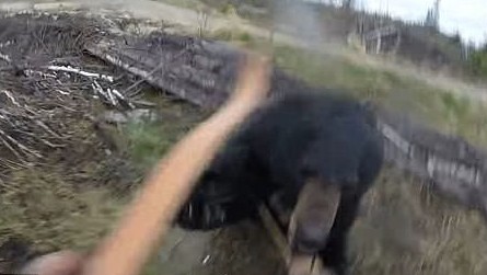 Cazador graba el escalofriante momento en que fue atacado por un oso