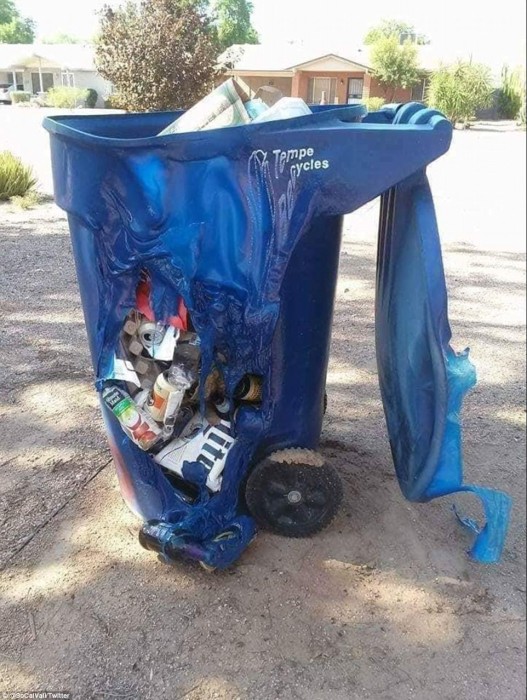 Arizona 5