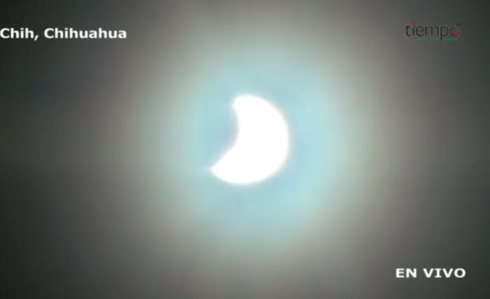 Eclipse chihuhuahua