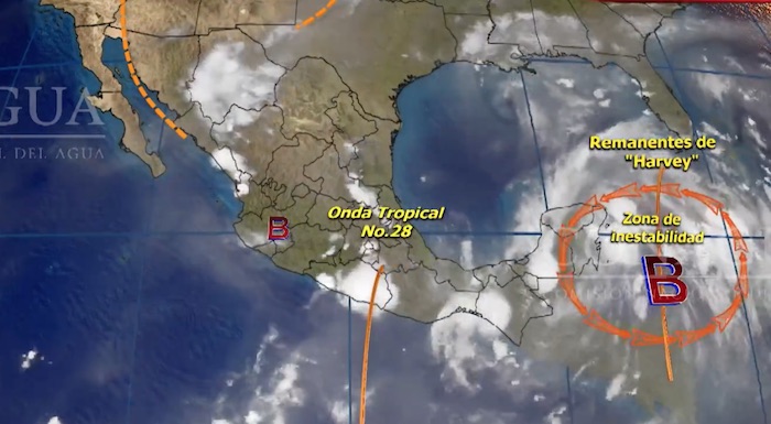 Harvey se degenera a Onda Tropical Harvey se degenera a Onda Tropical