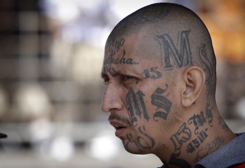 Integrantes de la Mara Salvatrucha decapitan a un hombre en Maryland Integrantes de la Mara Salvatrucha decapitan a un hombre en Maryland