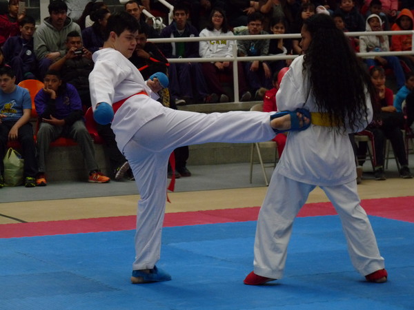 Deporte adaptado