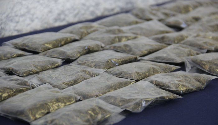 Agentes municipales detienen a vendedor de marihuana en la colonia hermenegildo galeana es menor de edad