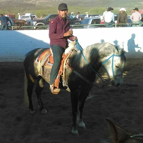 Desaparecido
