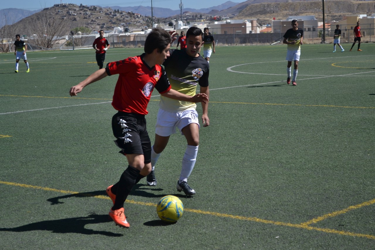Futbol estatal forma