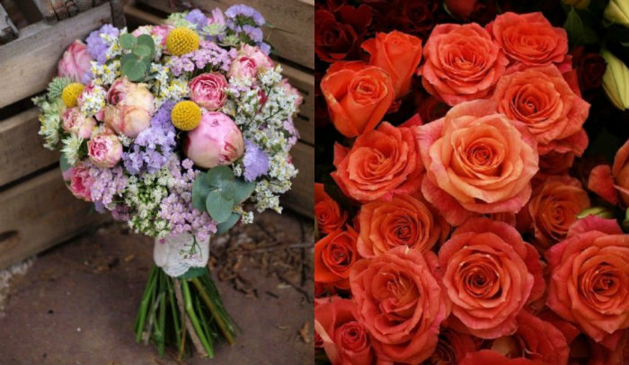 Valentine s day flowers from mexico