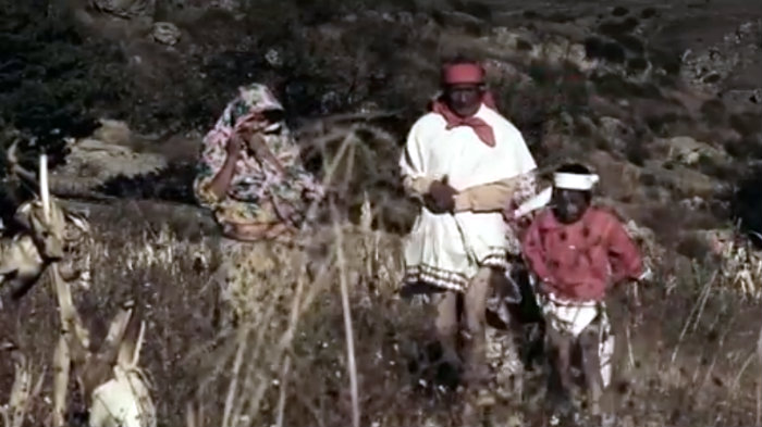 Tarahumaras corto