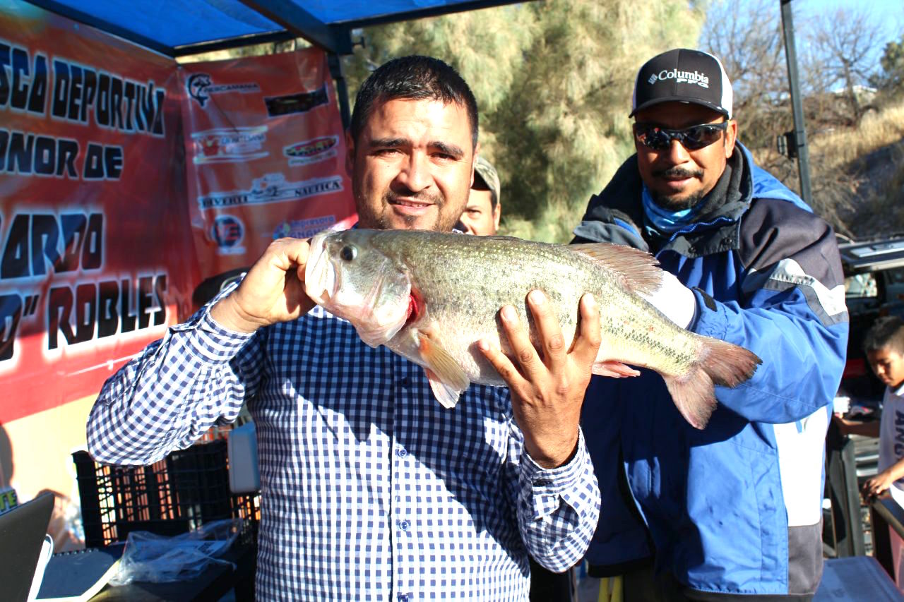 Pesca torneo