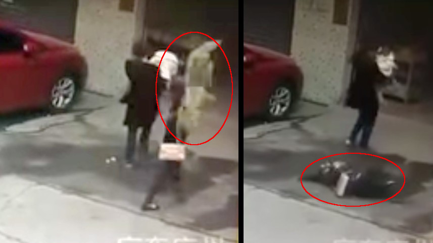 Perro cae del cielo a mujer