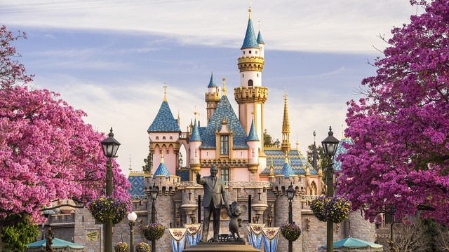 Disneyland gallery00