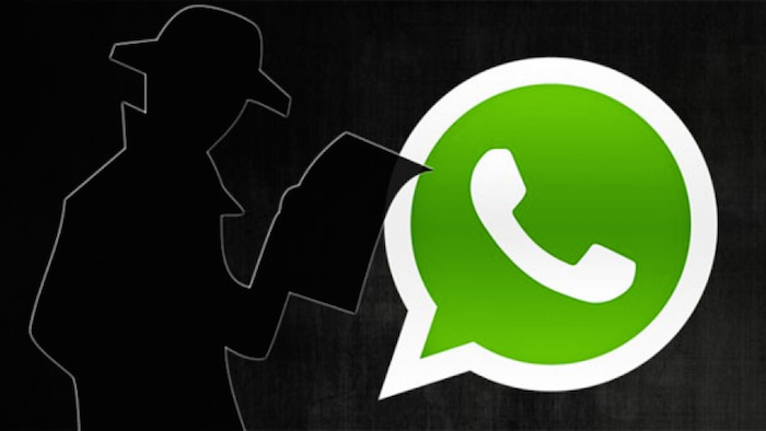 Zoopark whatsapp