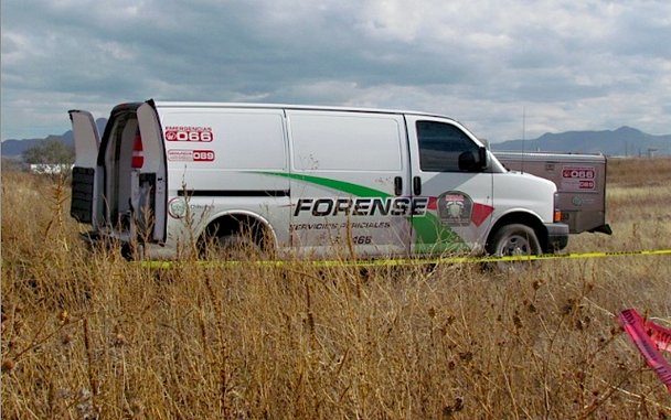 Semefo