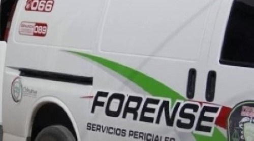 Semefo