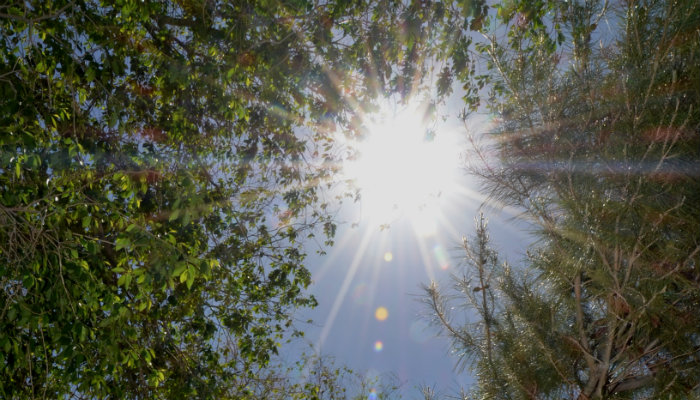 Clima para hoy ciudad jua rez 12 de junio temperatura ma xima