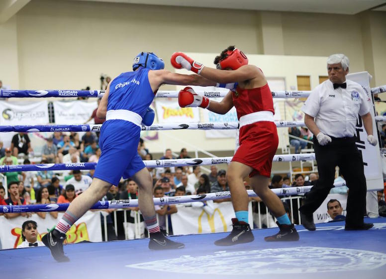 Boxeo campoenes equipo