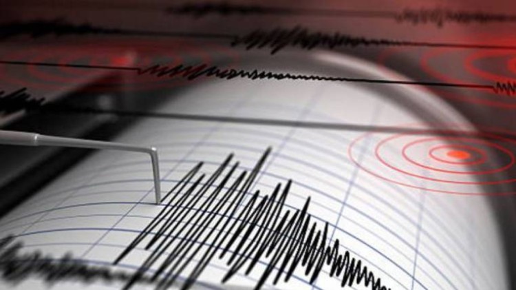 Sismo logo