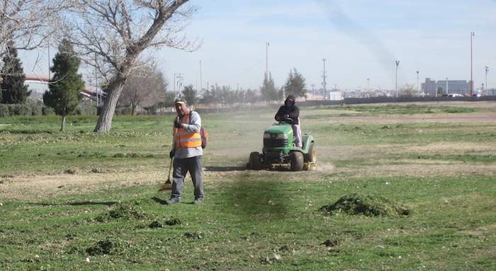 Capacitacio n parques y jardines 3