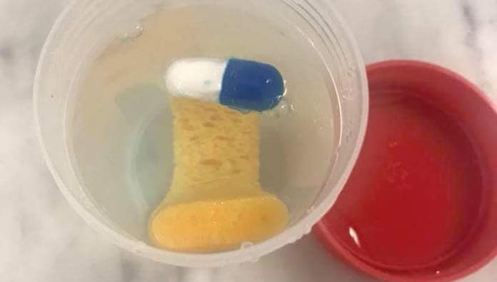 Esponjas