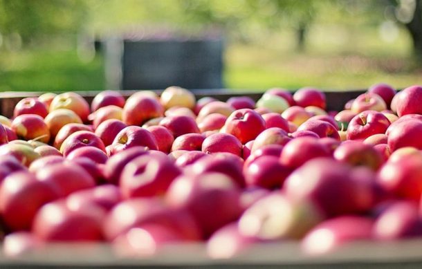 Manzanas 610x389