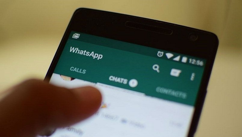 Whatsapp stock