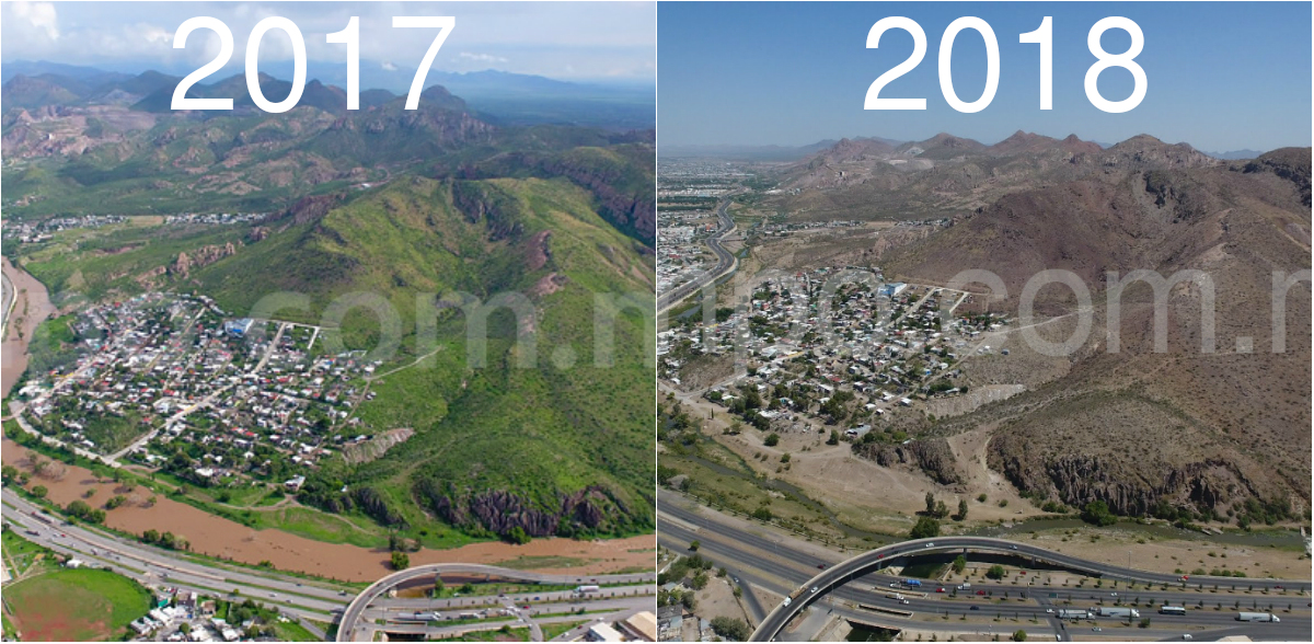 Avispon cerro sierra nombre de dios chihuahua avispon tiempo