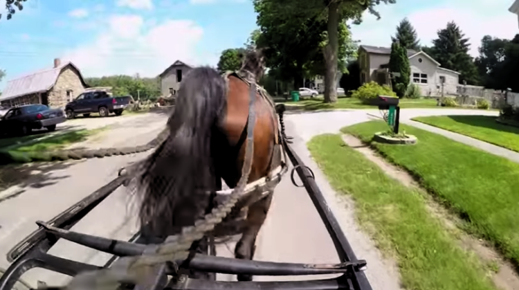 Amish uber
