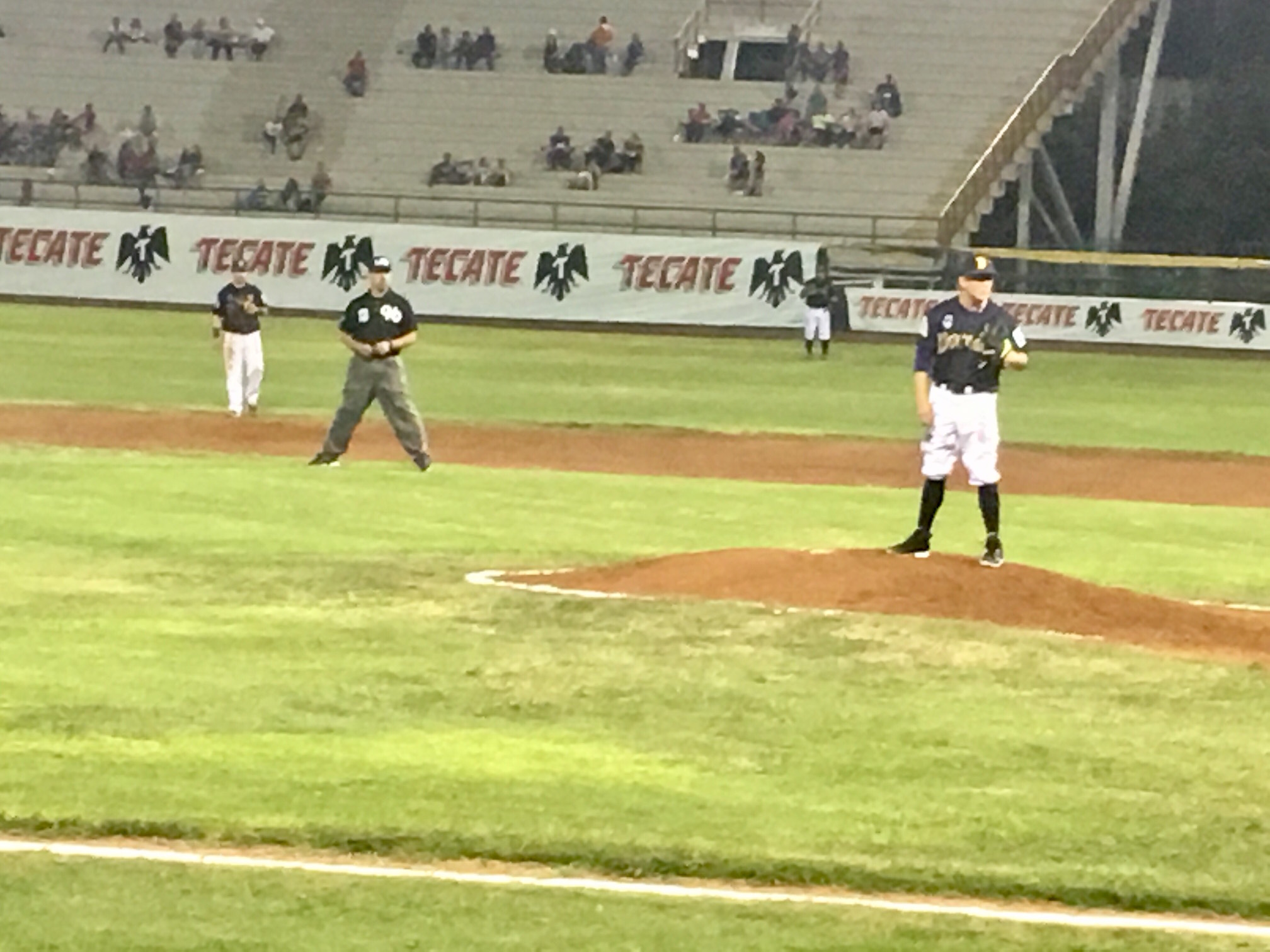 Dorados wini camargo