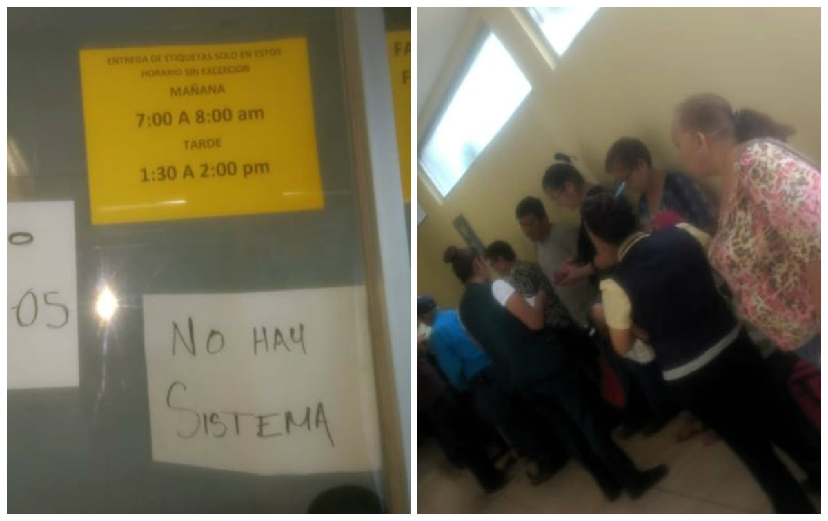 Imss clinica avalos