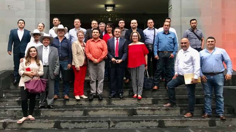 Alcaldes electos pri