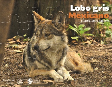 Lobo