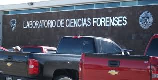 Semefo