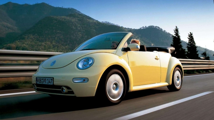 Beetle