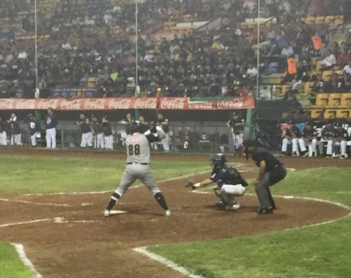 Algodoneros dorados 3