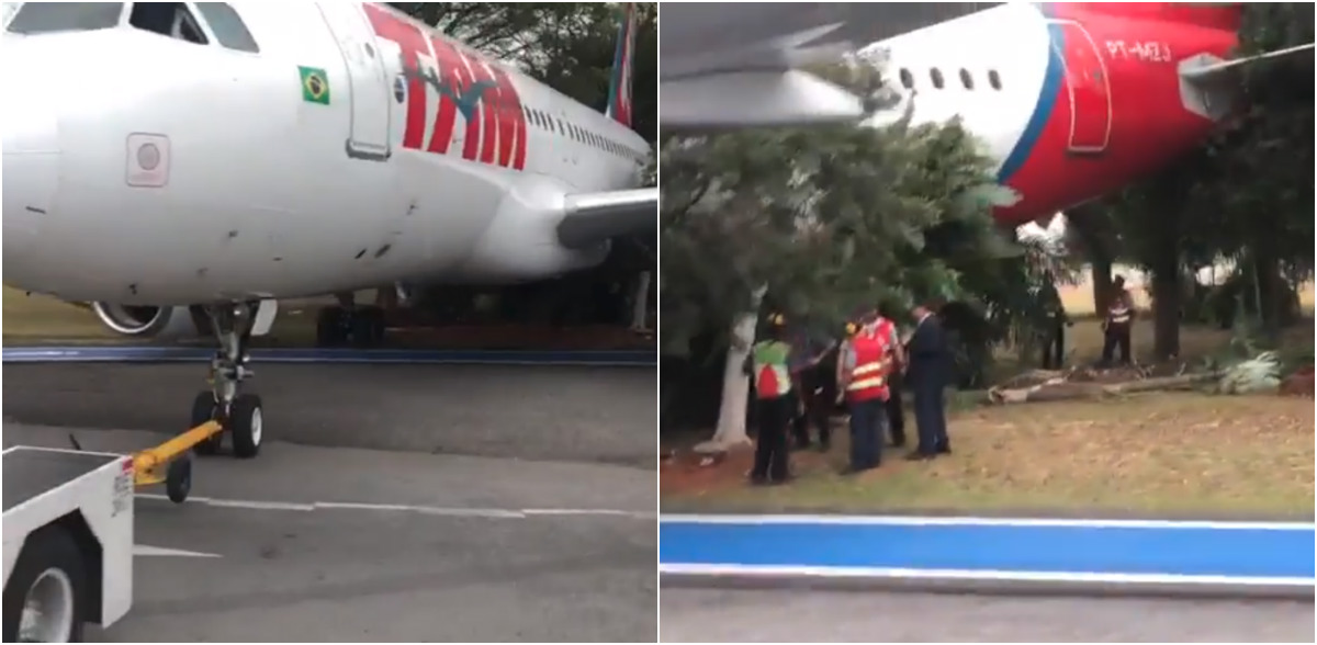 Avion choca contra arboles