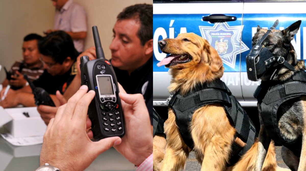 Radio y canes k9