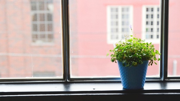 Window 593364 640