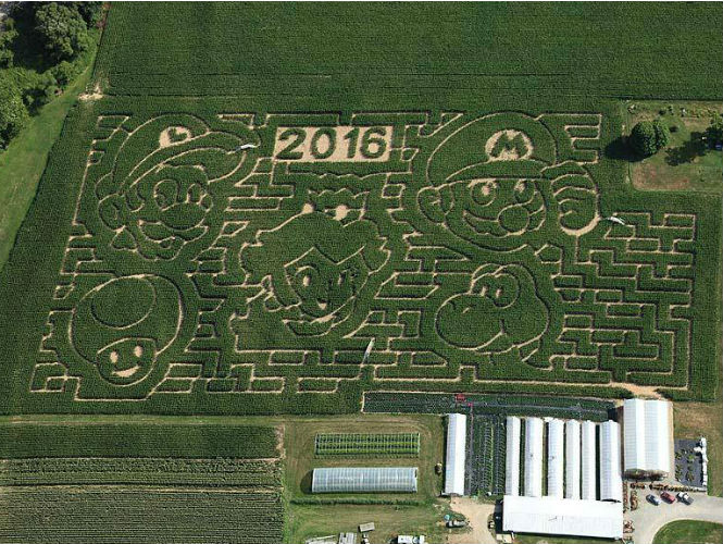 Mario bros