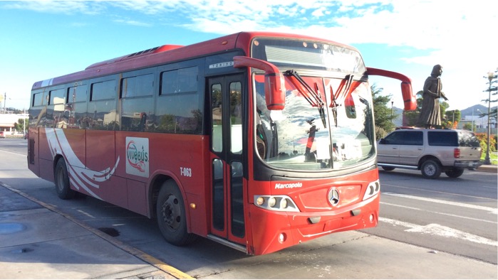 Camionvivebus