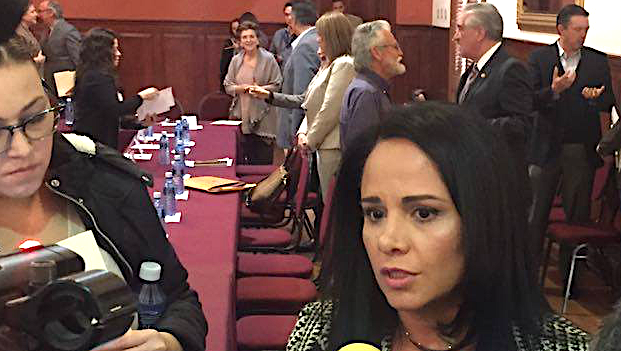 Merodio lilia palacio