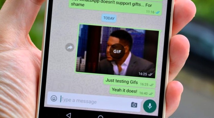 Whatsapp 1gif