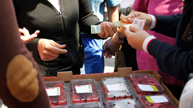 Venta fresas acg
