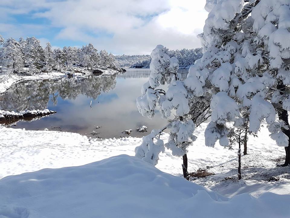Lago arareko irvin chaparro