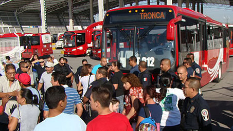 Vivebus